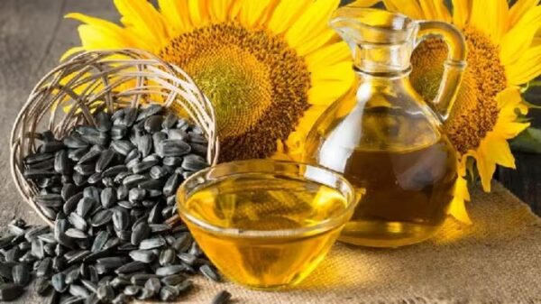 Crude Sunflower Oil