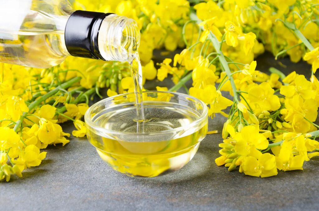 Refined Rapeseed Canola Oil